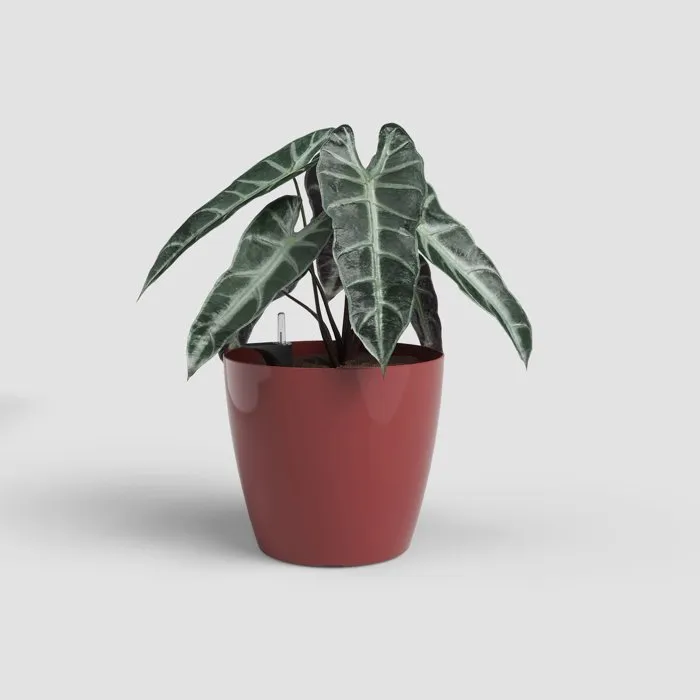 ARTEVASI San Remo SWS 42 BR - Pot de fleurs intérieur/extérieur en plastique résistant aux UV, Ø42.7 x H39.5 cm (42.3 L), couleur rouge foncé ARTEVASI San Remo SWS 42 BR - Pot de fleurs intérieur/extérieur en plastique résistant aux UV, Ø42.7 x H39.5 cm (42.3 L), couleur rouge foncé