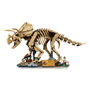 LEGO Jurassic World Fossiles de Dinosaure : Tricératops 77985