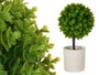 IBERGARDEN Lot de 4 pots en ciment Verde-Gris
