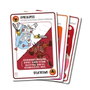 Asmodee Exploding Kittens Le Bien contre le Mal Jeu de Cartes