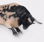 DEQUBE Figurine Toro Bravo Berrendo Embistiendo - Réplique animalière à échelle peinte à main, collection de 20 taureaux, polyglotte