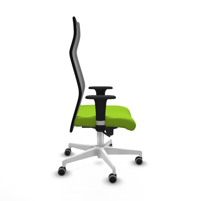 Piqueras y Crespo Chaise de Bureau Albacete Pistache et Noir Piqueras y Crespo Chaise de Bureau Albacete Pistache et Noir
