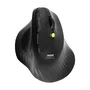 Port Designs Souris sans fil ERGO 910200 Bluetooth 2.4 GHz Rechargeable Ergonomique Clics Silencieux Compatibilité Universelle Noir