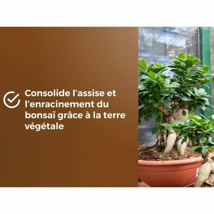 Or Brun Terreau pour Bonsaïs 6L Or Brun Terreau pour Bonsaïs 6L