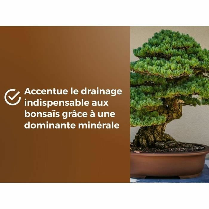 Or Brun Terreau pour Bonsaïs 6L Or Brun Terreau pour Bonsaïs 6L