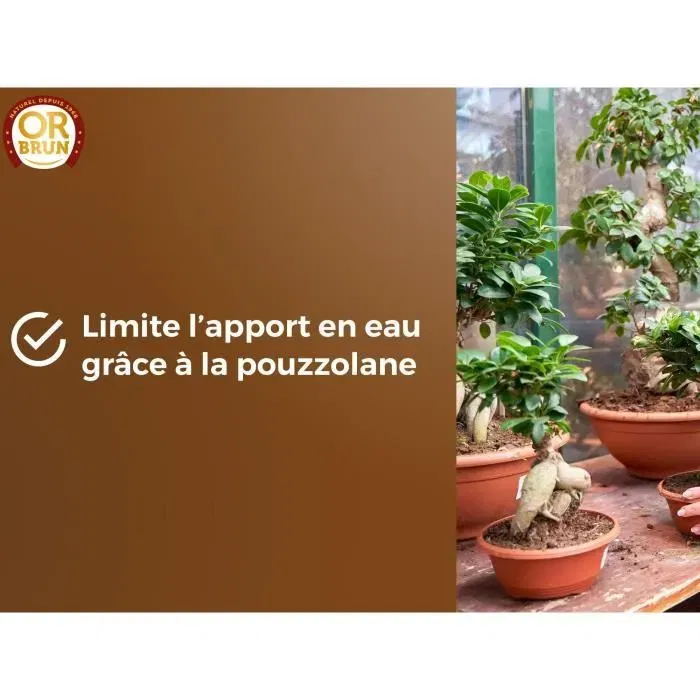 Or Brun OBRTBON6U Terreau pour Bonsaï 6L - Substrat Minéral et Organique - Améliore le Drainage et l'Enracinement