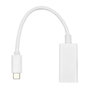 ProXtend Adaptateur USB-C vers Mini DisplayPort 20 cm blanc
