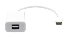ProXtend Adaptateur USB-C vers Mini DP 20cm blanc