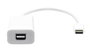 ProXtend Adaptateur USB-C vers Mini DisplayPort 20 cm blanc