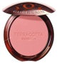 Guerlain Terracotta Blush #00