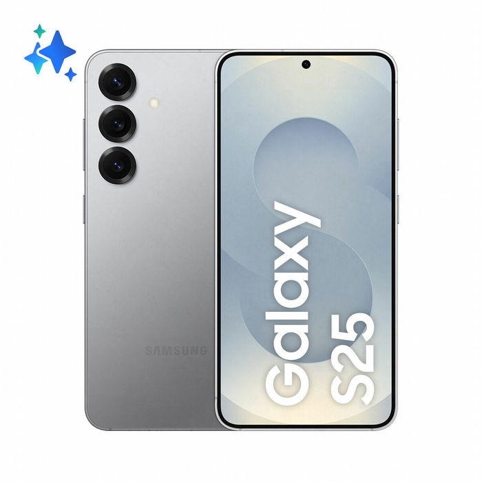 Samsung Galaxy S25 12+128Go DS 5G Silver Shadow SM-S931BZSDEUB