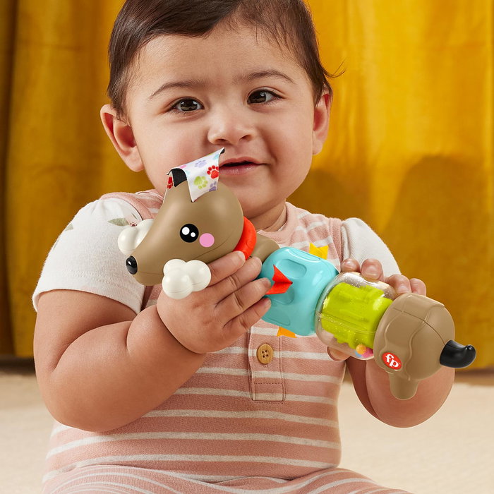Fisher-Price - Perrito Pet Pals HTW91 - Jouet d'éveil pour bébé avec sons et rotation - Jouet sensoriel avec comptes colorés et textures - Dès 6 mois Fisher-Price - Perrito Pet Pals HTW91 - Jouet d'éveil pour bébé avec sons et rotation - Jouet sensoriel avec comptes colorés et textures - Dès 6 mois