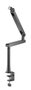Phoenix ErgoFlex Braze articulé pour microphone, perfil bajo, métal, gestion de câbles intégrée, montage sur bureau