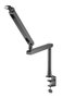 Phoenix ErgoFlex Braze articulé pour microphone, perfil bajo, métal, gestion de câbles intégrée, montage sur bureau