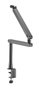 Phoenix ErgoFlex Braze articulé pour microphone, perfil bajo, métal, gestion de câbles intégrée, montage sur bureau