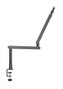 Phoenix ErgoFlex Braze articulé pour microphone, perfil bajo, métal, gestion de câbles intégrée, montage sur bureau