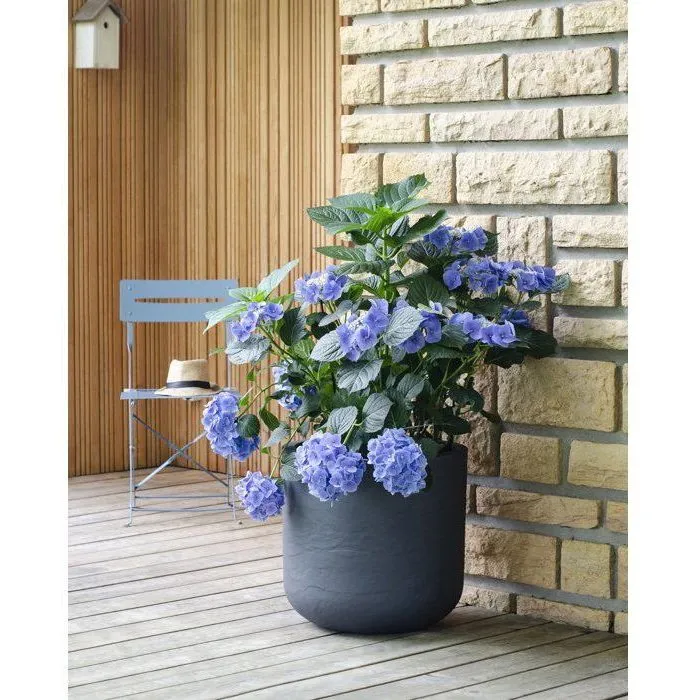 EDA Volcania Up 67 L - Pot de fleurs rond intérieur/extérieur en pierre décorative - Anthracite - Ø 48,5 x H 46,2 cm - Origine France Garantie