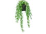 Ibergarden Plante Feuille Fendue à Suspendre Moyenne 27x36x17 cm Vert/Noir (Set de 12)