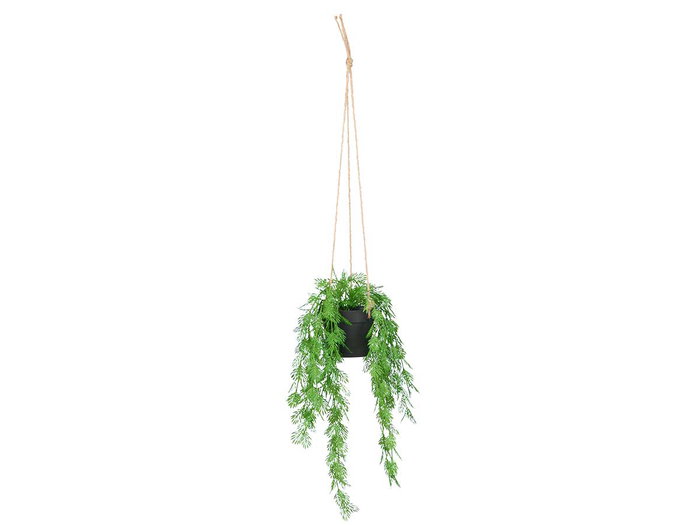 Ibergarden Plante Feuille Fendue à Suspendre Moyenne 27x36x17 cm Vert/Noir (Set de 12)