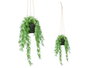 Ibergarden Plante Feuille Fendue à Suspendre Moyenne 27x36x17 cm Vert/Noir (Set de 12)