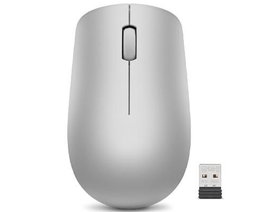 Lenovo 530 - Souris sans fil 2.4 GHz, capteur optique 1200 DPI, nano récepteur USB, 65 g, gris platine
