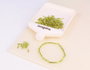 Innspiro Perles de Rocaille Cylindriques Vert Avocat et Argenté 95g