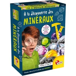 Lisciani Giochi Kit Scientifique I'M A GENIUS POCKET Découverte des Minéraux avec Bloc à Creuser, Minéraux et Outils pour Enfants 8 Ans et Plus