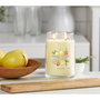 Yankee Candle Bougie Parfumée Iced Berry Lemonade 567 g