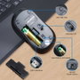 Ewent EW3218 Souris optique sans fil 2.4 GHz, noir, réglage DPI 800/1200/1600, clics silencieux