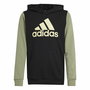 Sweat à capuche homme Adidas Essentials Vert