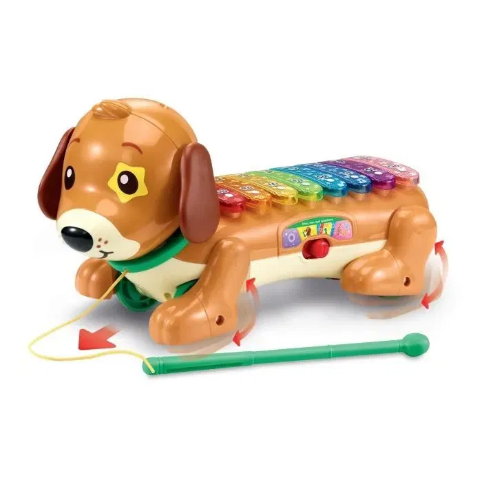 Vtech Elton, Mon Rouli Xylophone - Jouet d'éveil musical éducatif avec 8 touches lumineuses - En français