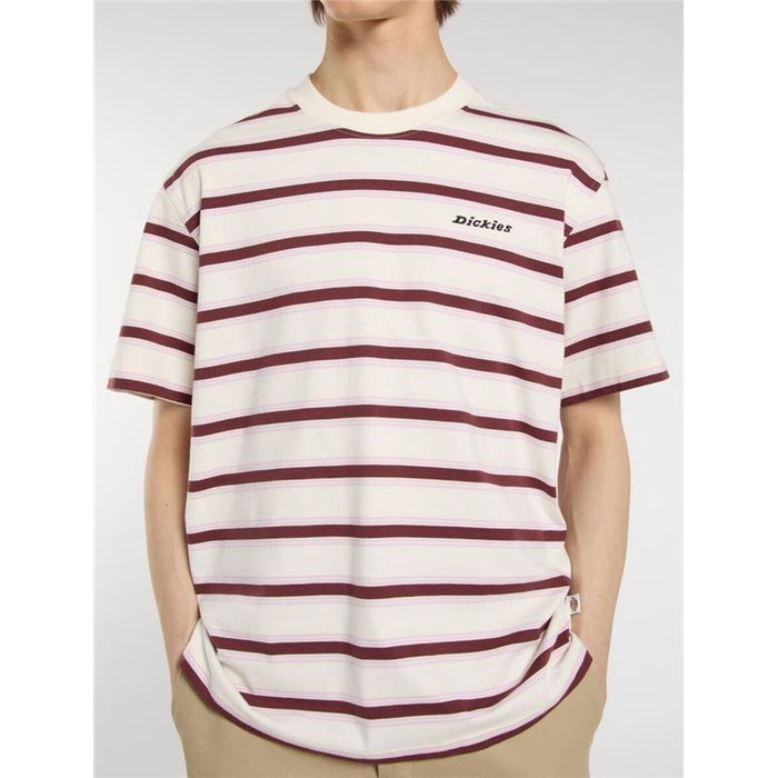 T-shirt à manches courtes homme Dickies York Stripe Ss Blanc 14-16 Ans
