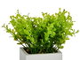 Ibergarden Plante Artificielle en Ciment Blanc 13x18x13 cm (Set de 12)