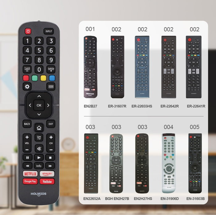 Holmios Télécommande universelle pour Hisense Smart TV