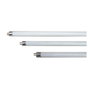 Edm Tube Fluorescent 15W T8 Lumière Actinique Bleu Anti-Insectes ø2,3x43,5cm