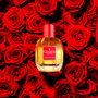Gisada Ambassadora EDP Vaporisateur 100 ml