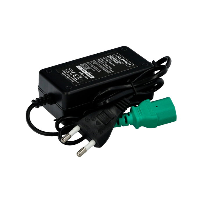 WOLFPACK LINEA PROFESIONAL Chargeur pour batterie de sulfatateur 12V