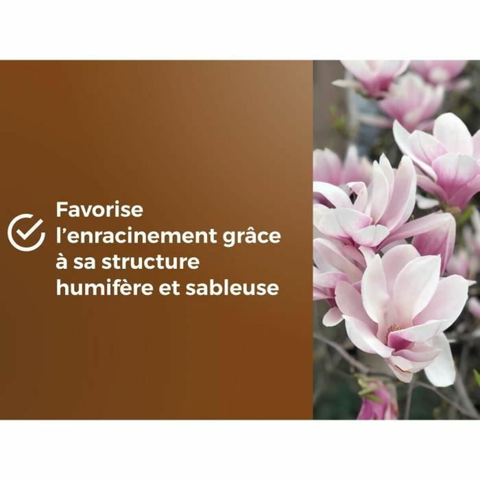 Or Brun Terreau spécial plantes de bruyère 6 L