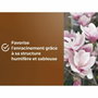 Or Brun Terreau spécial plantes de bruyère 6 L
