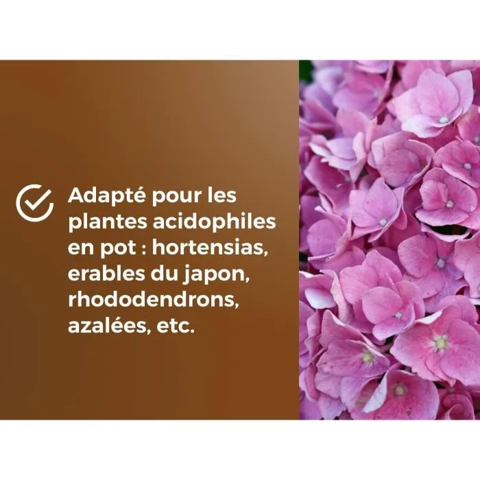 Or Brun Terreau spécial plantes de bruyère OBRTBRU6U 6L - Pour plantes acidophiles, meilleur enracinement et développement racinaire