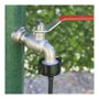 Blue Bird-Altadex Adaptateur filetage femelle ¾ pulg pour tuyau ø4 mm
