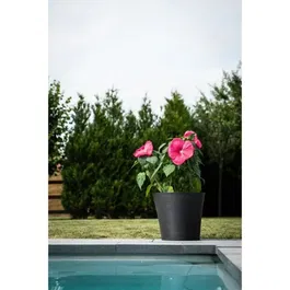Garden Id - Pot de fleurs Green Care Sense - Noir Anthracite - 50 x 41 cm - Garantie 10 ans - 100% recyclé - Résistant UV et Gel