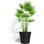 Garden Id - Pot de fleurs Green Care Sense - Noir Anthracite - 50 x 41 cm - Garantie 10 ans - 100% recyclé - Résistant UV et Gel