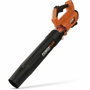 Dual Power Souffleur de feuilles 20V 145 km/h