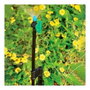 Blue Bird-Altadex Kit varijet - Arc de irrigation 180° avec support et tige