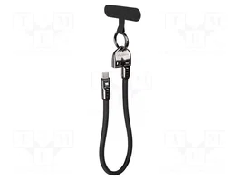 LANBERG Câble USB 2.0 USB C de deux côtés 0,3m Noir