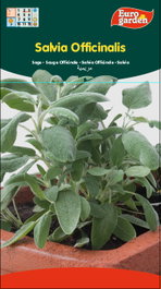 SEMILLAS FITO AROMATICAS SALVIA OFFICINALIS=02607 Boîte de 10