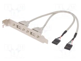 DIGITUS Adaptateur USB 2.0 sur lamelle 0,25m beige