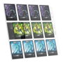 Ultimate Guard Pages 24 Poches QuadRow Transparentes avec Insertion Latérale (10 unités)</html>