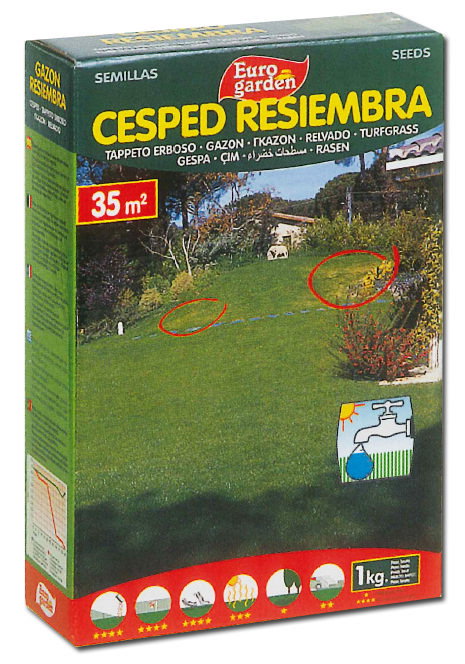 Eurogarden Semillas Fito Césped Resiembra 1kg Eurogarden Semillas Fito Césped Resiembra 1kg